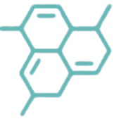 Function of Testosterone